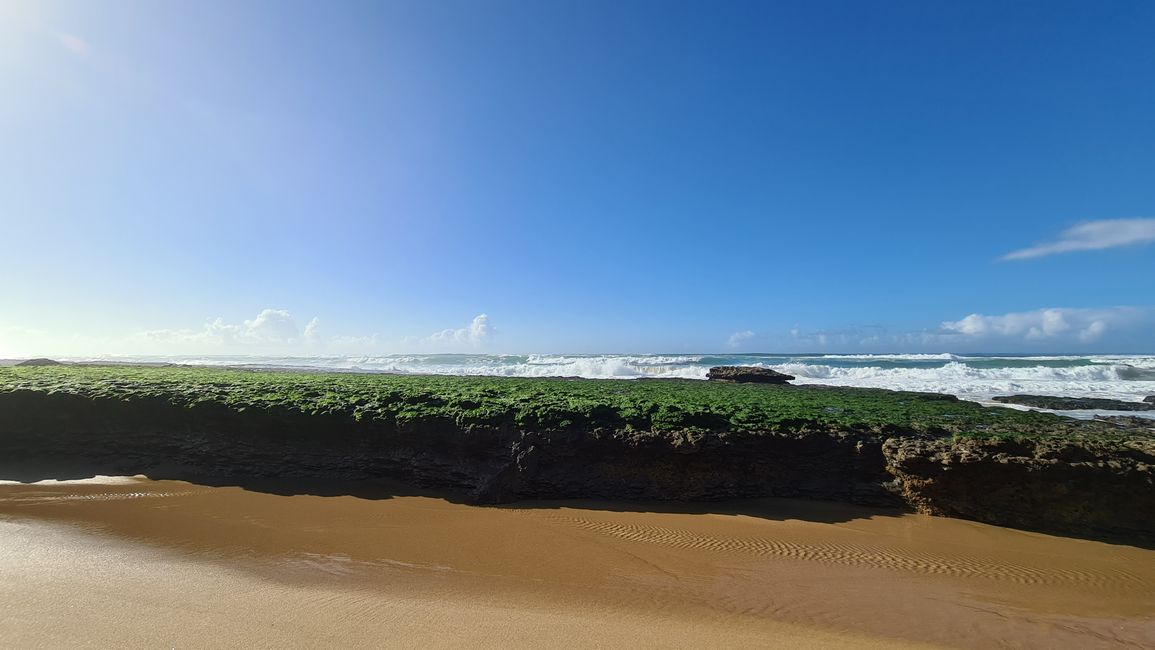 Praia da Adraga (south of "Ericeira")
