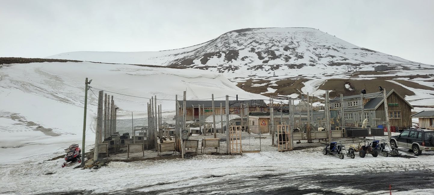 Longyearbyen 16-23 May 2022/19 May