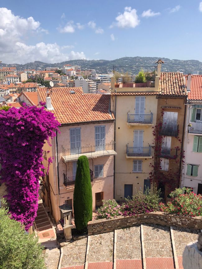 Cannes, Antibes, St. Maxime und St. Tropez