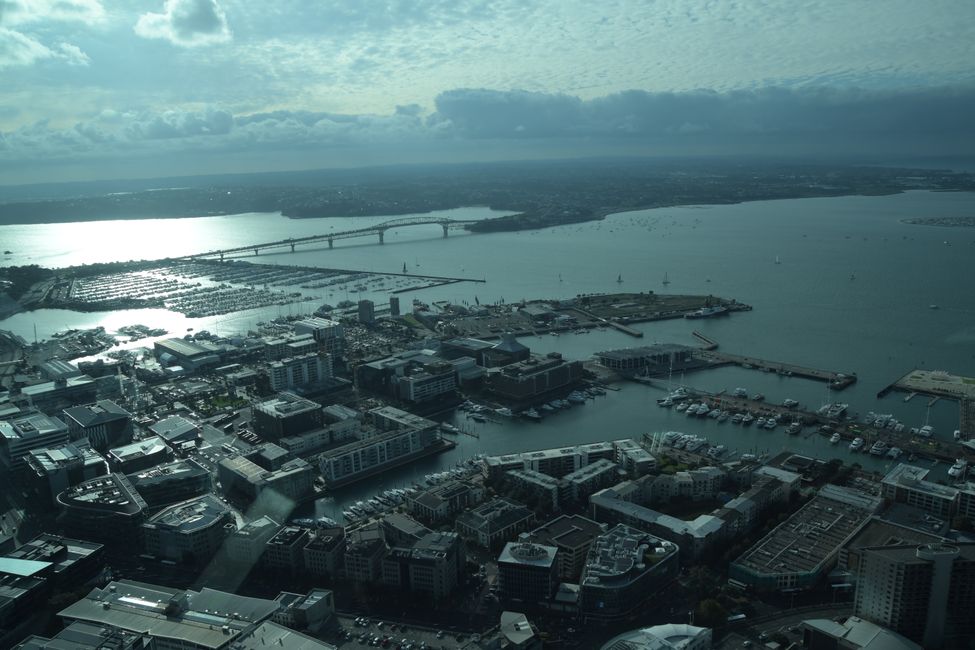 Sky Tower - View to the (Auckland) Harbour Bridge