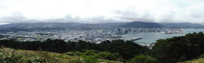 Blick auf Wellington vom Mt. Victoria aus