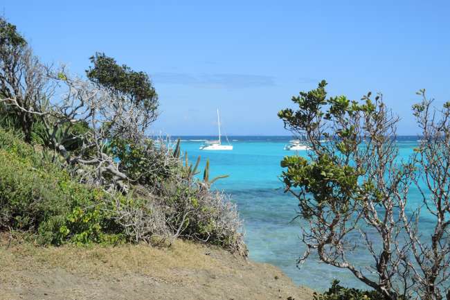 Sailing in the Grenadines