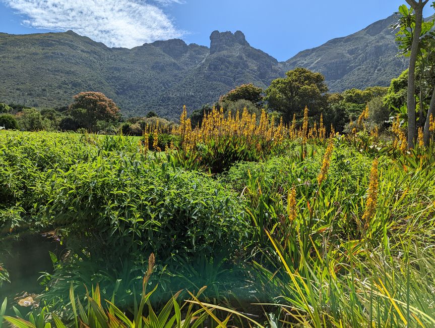 Kapstadt/Cape Town