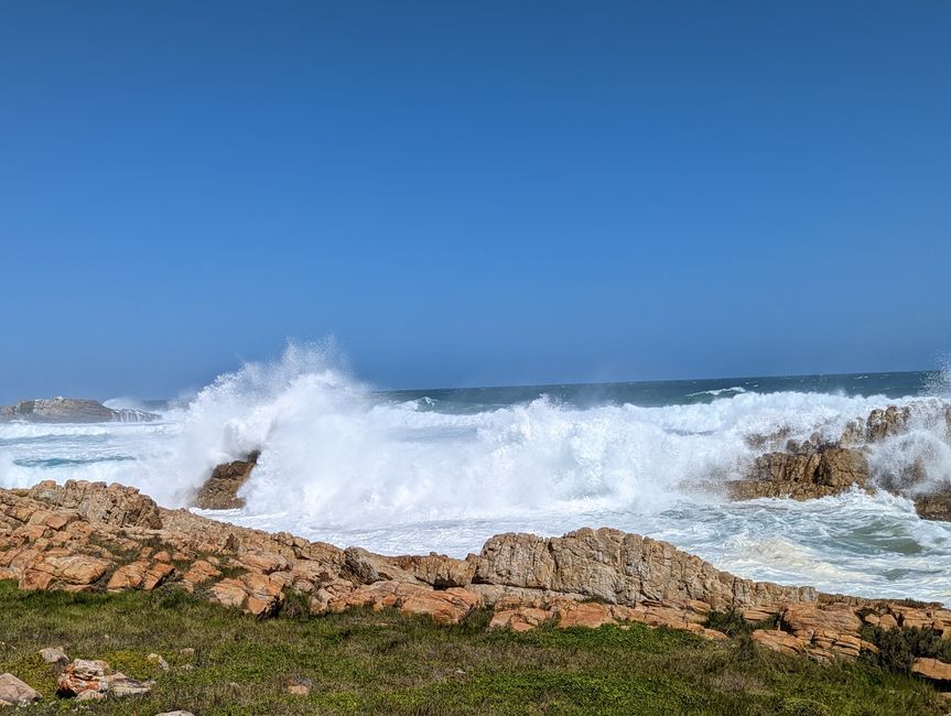 Plettenberg Bay/Robberg Nature Reserve