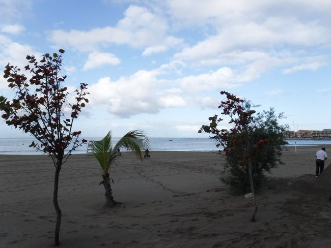 La Vistas Beach