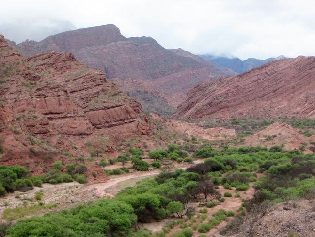 Cafayate