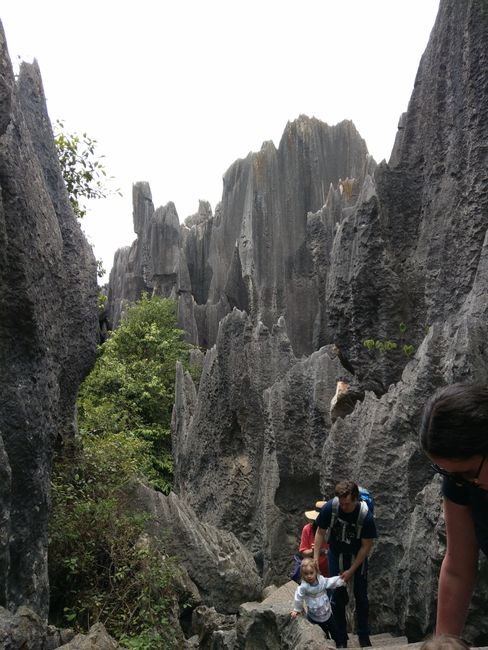 Yunnan-Shilin Stone Forest
