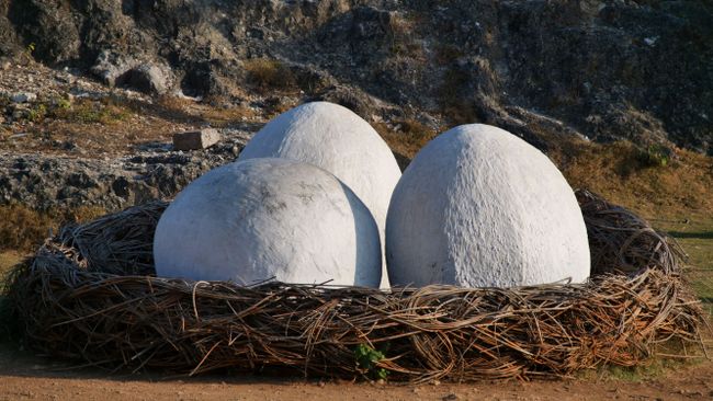 Garuda eggs