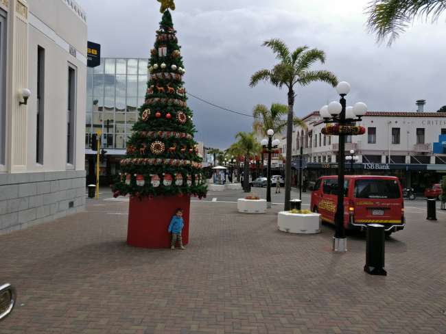 Christmas tree in the shopping mile Napier