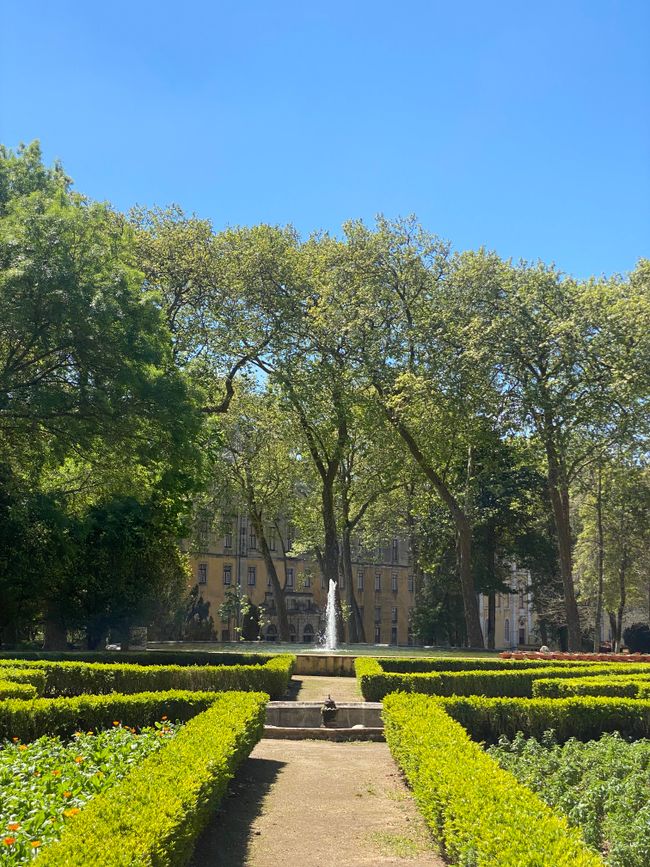 🌳 ☀️ 💦