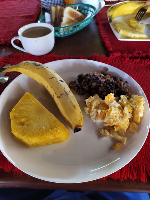 Breakfast at the hostel with gallo pinto and the most delicious pineapple ever