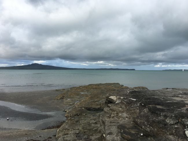 Misson Bay mit Blick auf Rangitoto - Die Insel die von jeder Seite gleich aussieht