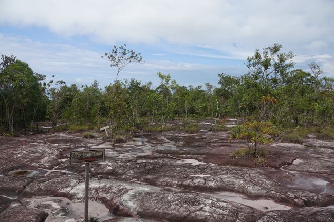 Ára 232 ha 233 Parque Nacional Bako