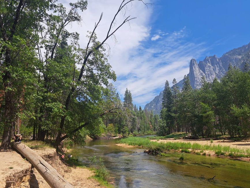 Yosemite and the wild flies