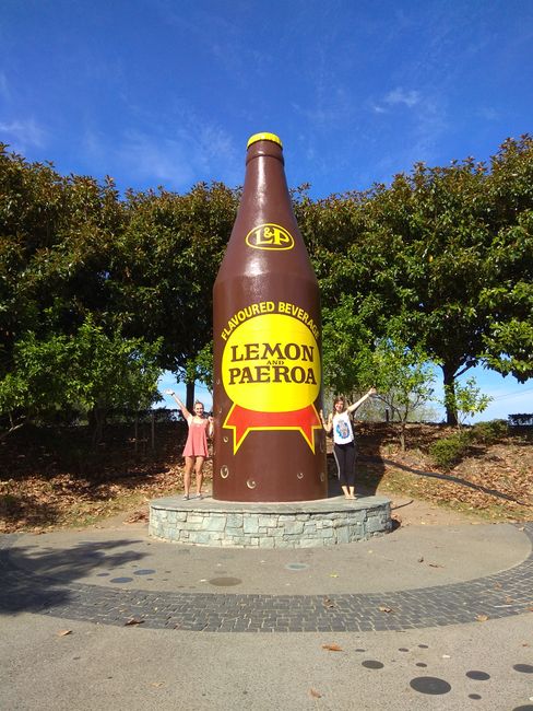 Typical New Zealand soda