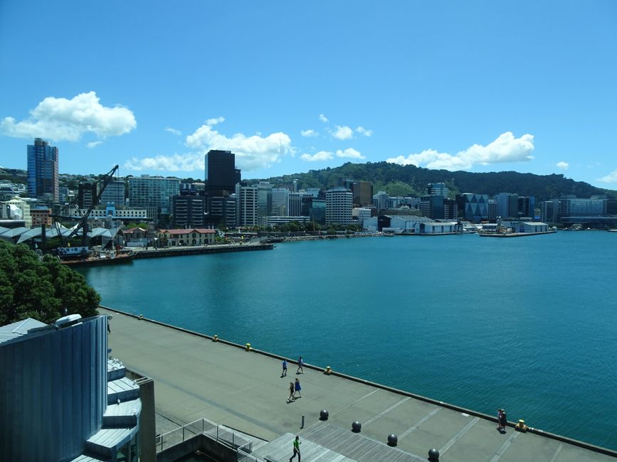 Wellington, waterfront promenade