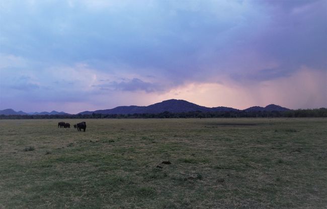 Sonnenuntergang auf Safari