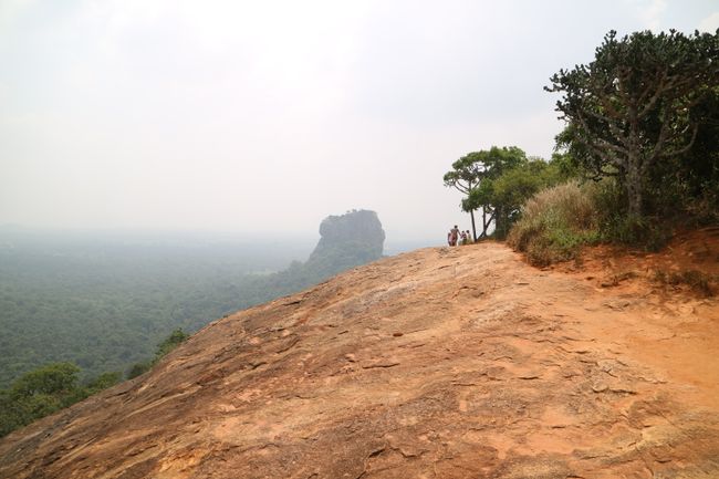 Sicht vom Pidurangala zum Lion Rock