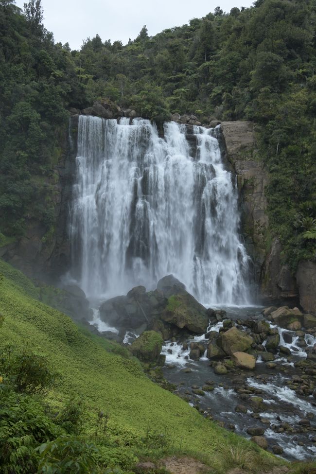 Waitomo - Marokopa Falls
