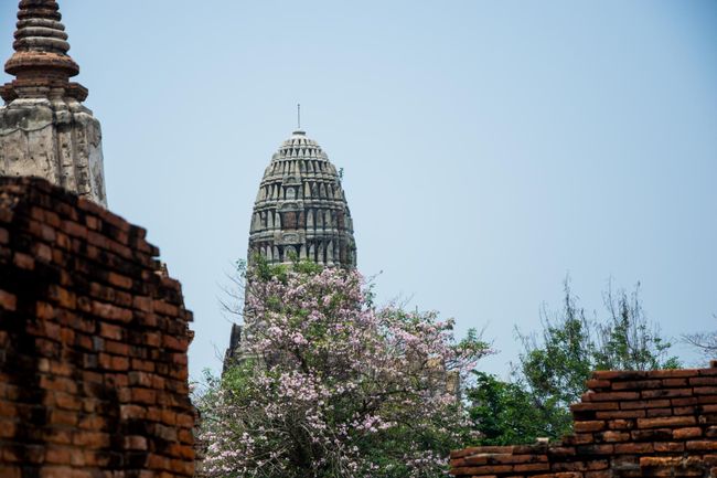 Tag 30: Ausflug nach Ayutthaya