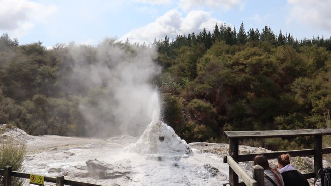 Tag 9 Wai-O-Tapu Thermal Wonderland