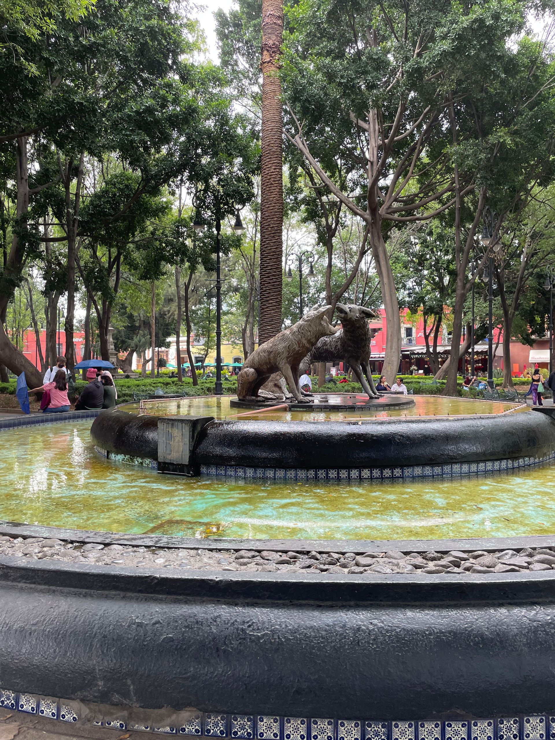 Park in Coyoacan