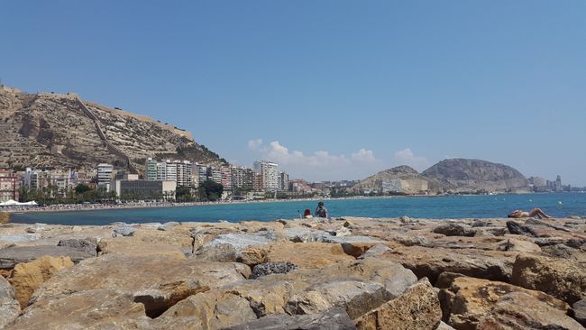Alicante - I'm in love with you