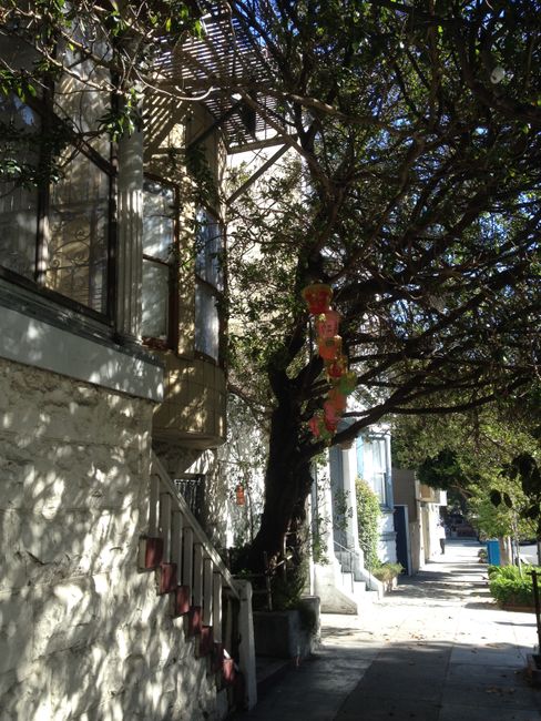 Bay West: San Francisco y Berkeley