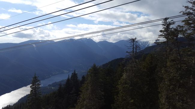 North Vancouver - Montagna Grouse