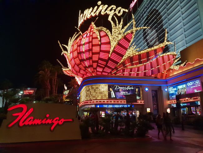Tarbija Vegas!!