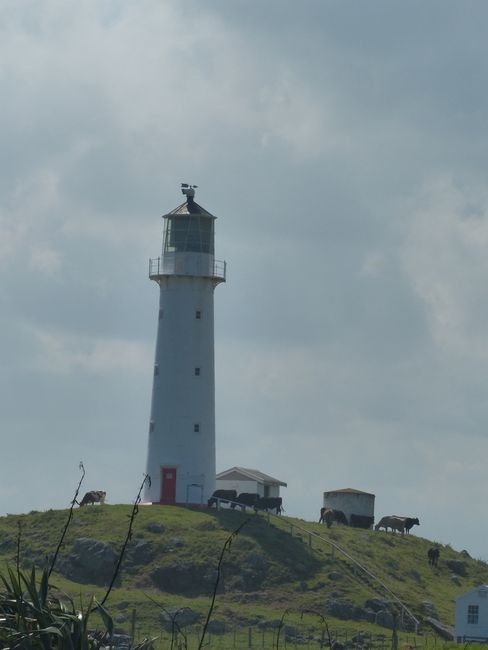 Lighthouse of ?