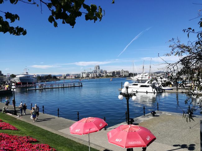 Vancouver (3/3), Whale Watching & Victoria/ Vancouver Island