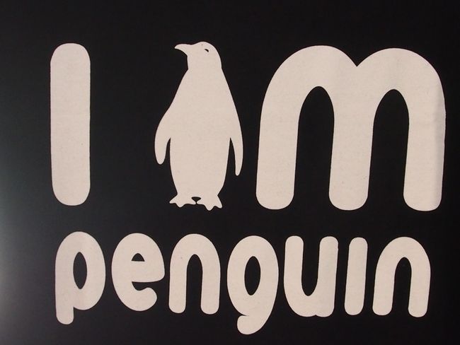 Adoption eines Pinguins