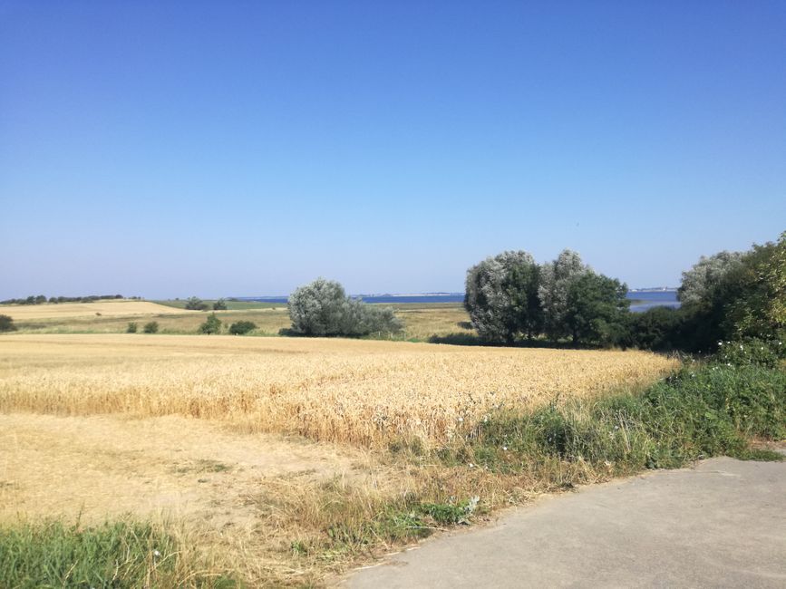Campi e mare