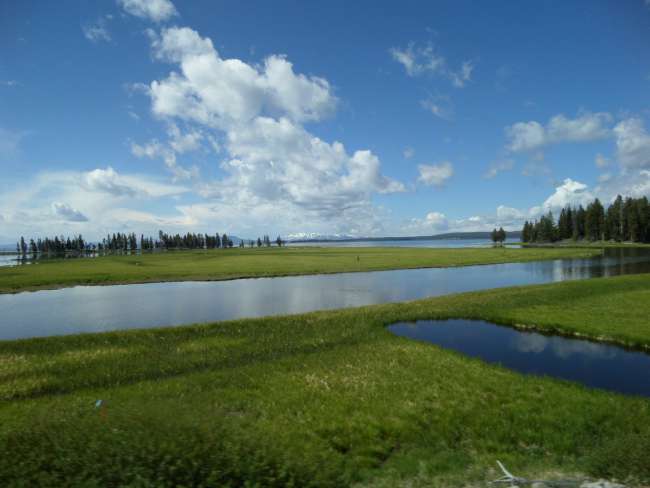Parco Nazionale Yellowstone
