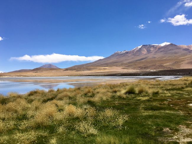 Eduardo Avaroa Andean Fauna National Reserve 