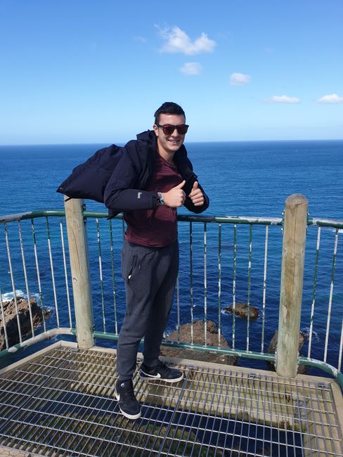 Windig am Nugget Point 