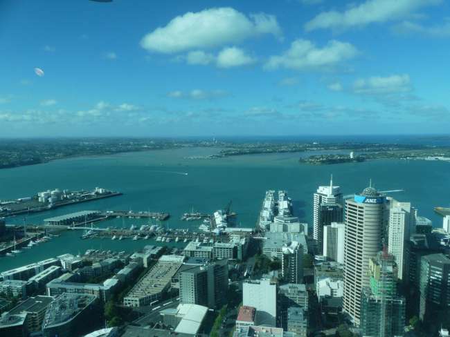 View of the city and the harbor from the Sky Tower