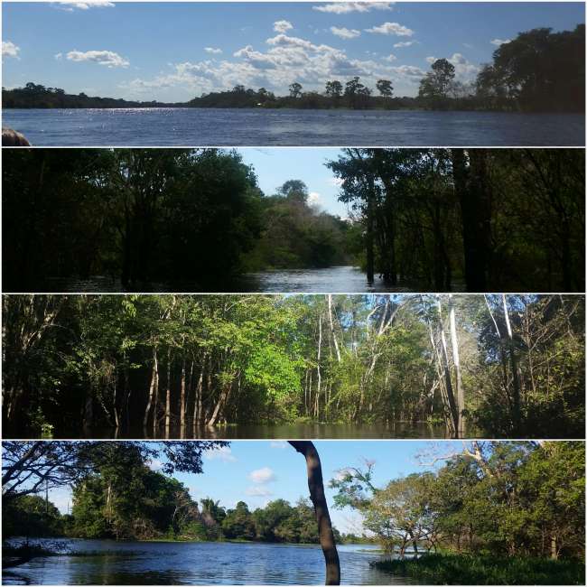Amazonas Part 2: Jungle Camp 🐍