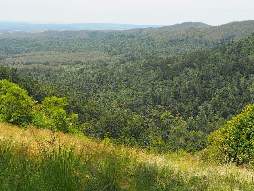 Bunya Mountains and Drive Towards the Outback