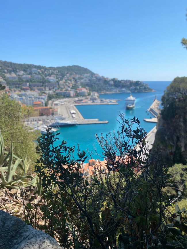 Getting to know nice Nice