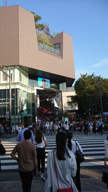 Shopping - Harajuku 🤪