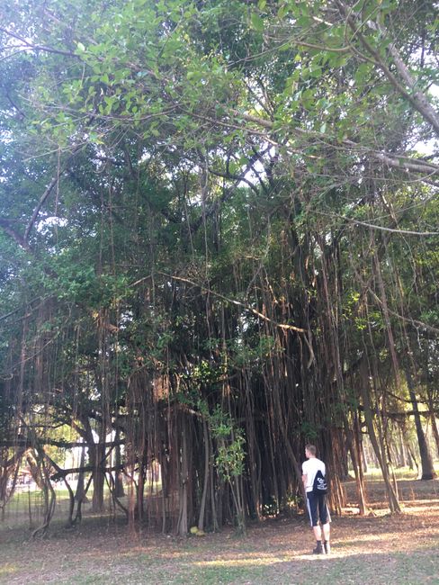 Phitsanulok & Sukkothai