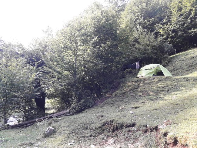 morning campsite just before Remeți