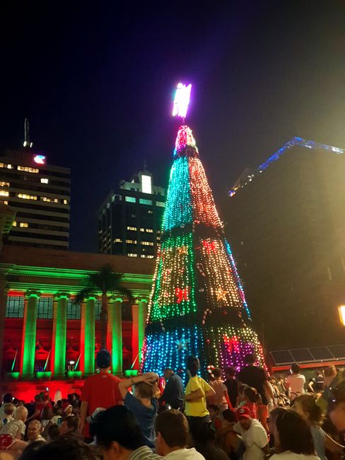 Feierliche Erstbeleuchtung des Weihnachtsbaums am 30.11.2018 nach dem Christmas Concert