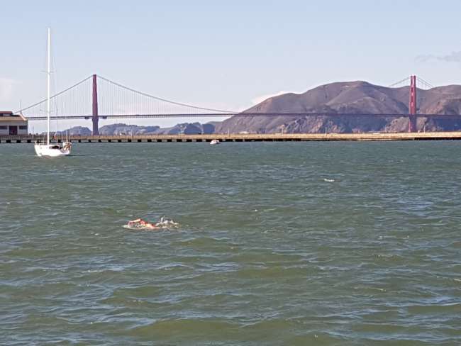 Nothing for wimps: Real tough guys swim in the bay. Brrrrrr! The water is freezing!