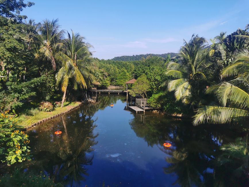 Koh Chang - divje opice, izgubljeni kraji in veliko narave