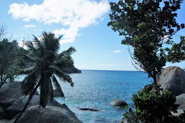 Klein, aber fein: Die Seychellen