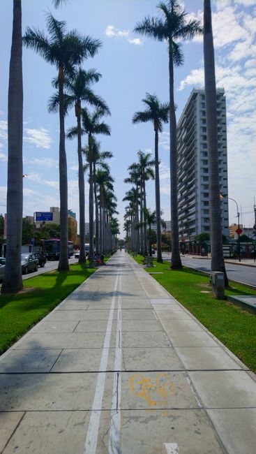 Vom diesen Avenidas gibt es einige in Lima. Im der Regel jedoch vollgestopft mit Autos. 