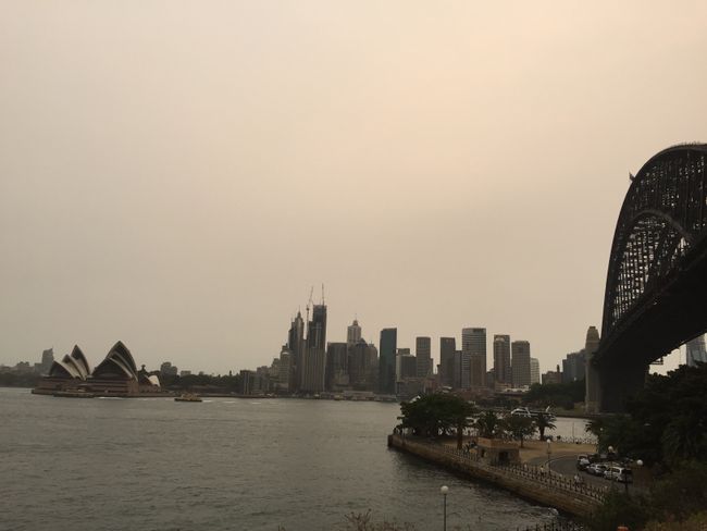 Chapter 4: Sydney, New Year's Eve, and Family Time